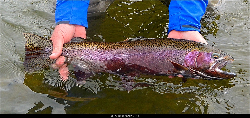 Click image for larger version. 

Name:	WinterSpring 2016 fishing 071.JPG 
Views:	250 
Size:	765.3 KB 
ID:	179721