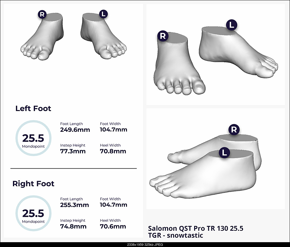 Click image for larger version. 

Name:	feet-3d-scan_snowtastic.jpg 
Views:	120 
Size:	325.4 KB 
ID:	357842