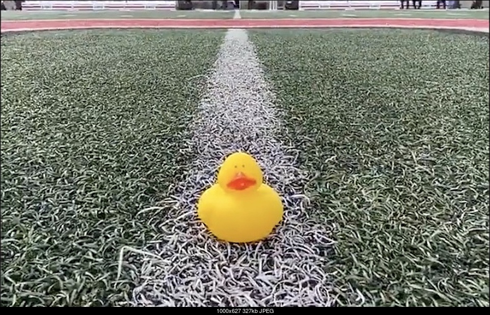 Click image for larger version. 

Name:	Ohio-State-Duck.jpg 
Views:	30 
Size:	326.6 KB 
ID:	385487