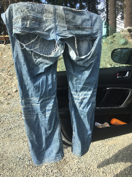 Name:  pants.jpg
Views: 908
Size:  521.1 KB