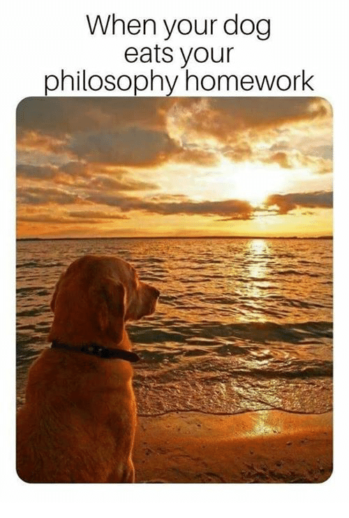 Name:  when-your-dog-eats-your-philosophy-homework-36107763.png
Views: 1781
Size:  189.6 KB