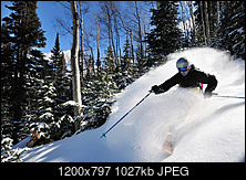 Click image for larger version. 

Name:	JMattson_BluebirdPowderSt_078.jpg 
Views:	96 
Size:	1.00 MB 
ID:	156541