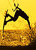 Lance_K's Avatar