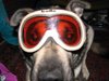 timmay's Avatar