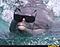 DolphinSki's Avatar