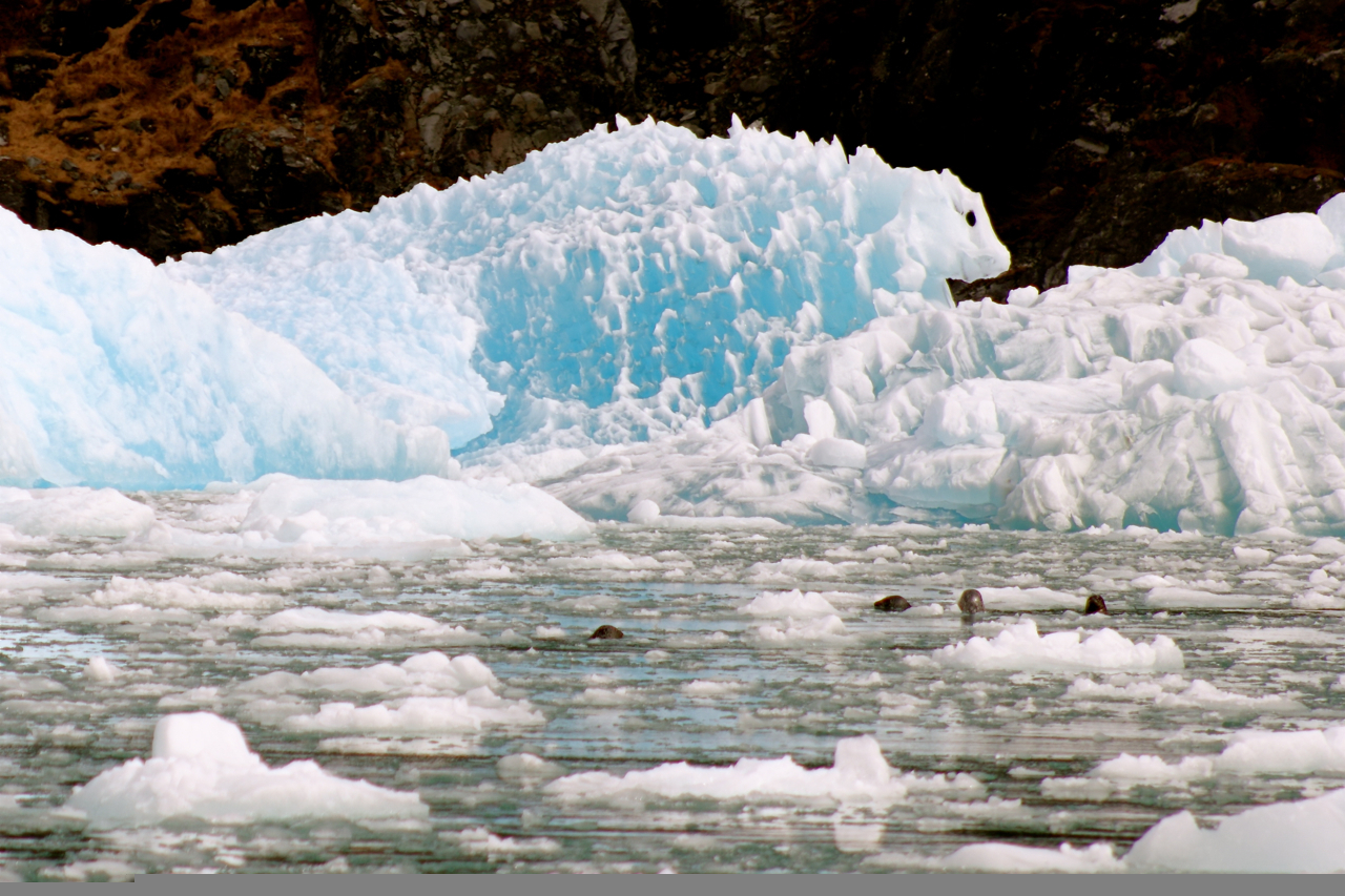 Petersburg, Alaska Ice monsters and big powder turns Teton Gravity Research