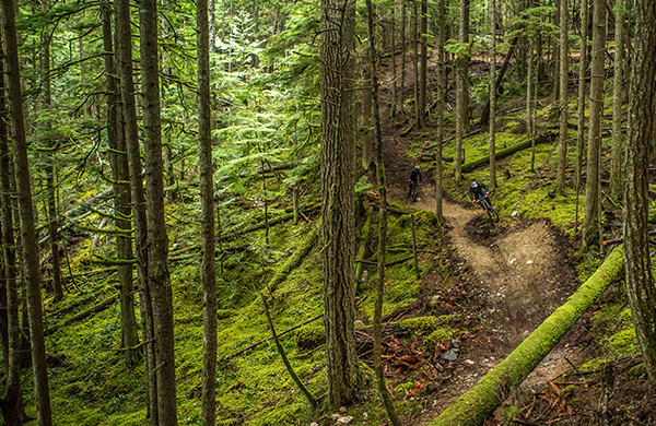 Coast Gravity Park A Year Round MTB Dreamland by the Sea Teton