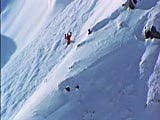 Shark Attack In Alaska - Almost Live: Season 1 Episode 11 thumbnail
