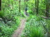 Portland bike ride: shot and edit by SCA on iPhone thumbnail