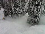 Jackson: Shroder Baker Trenching thumbnail