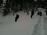 Jackson backcountry: TGR production crew practicing digging pits. thumbnail