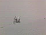 Jackson Hole: Shroder Baker weather report thumbnail