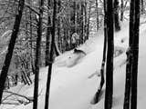 TGR Enjoys the Best Snow Croatia has Seen in 50 Years thumbnail