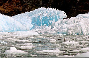 Petersburg, Alaska: Ice monsters and big powder turns thumbnail