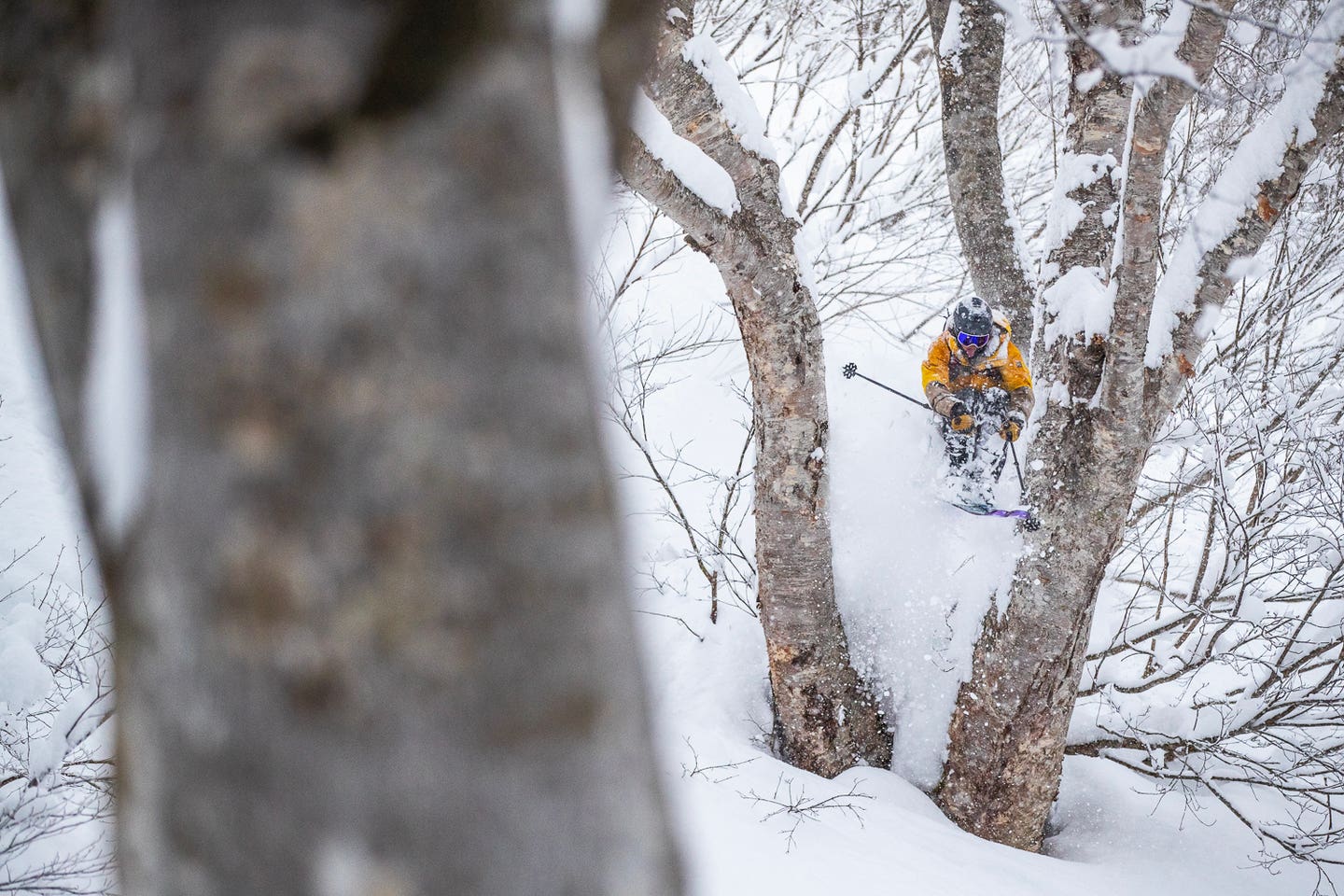 The Athlete Edits: Tim Durtschi Shreds Jackson Hole thumbnail