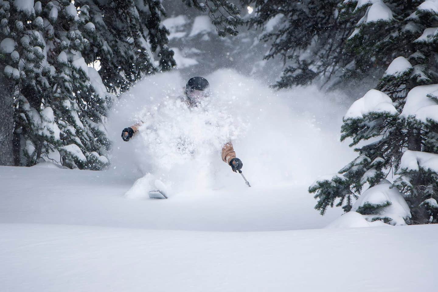 Fact: Storm Cycles Favor Jackson Hole Mountain Resort thumbnail