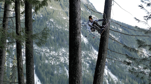 The Sammy C Project - Hood Tree Jib thumbnail