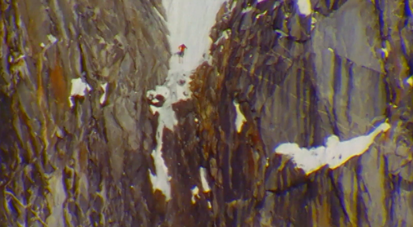 One of the Most Magical Lines of Erik Roner's Life thumbnail